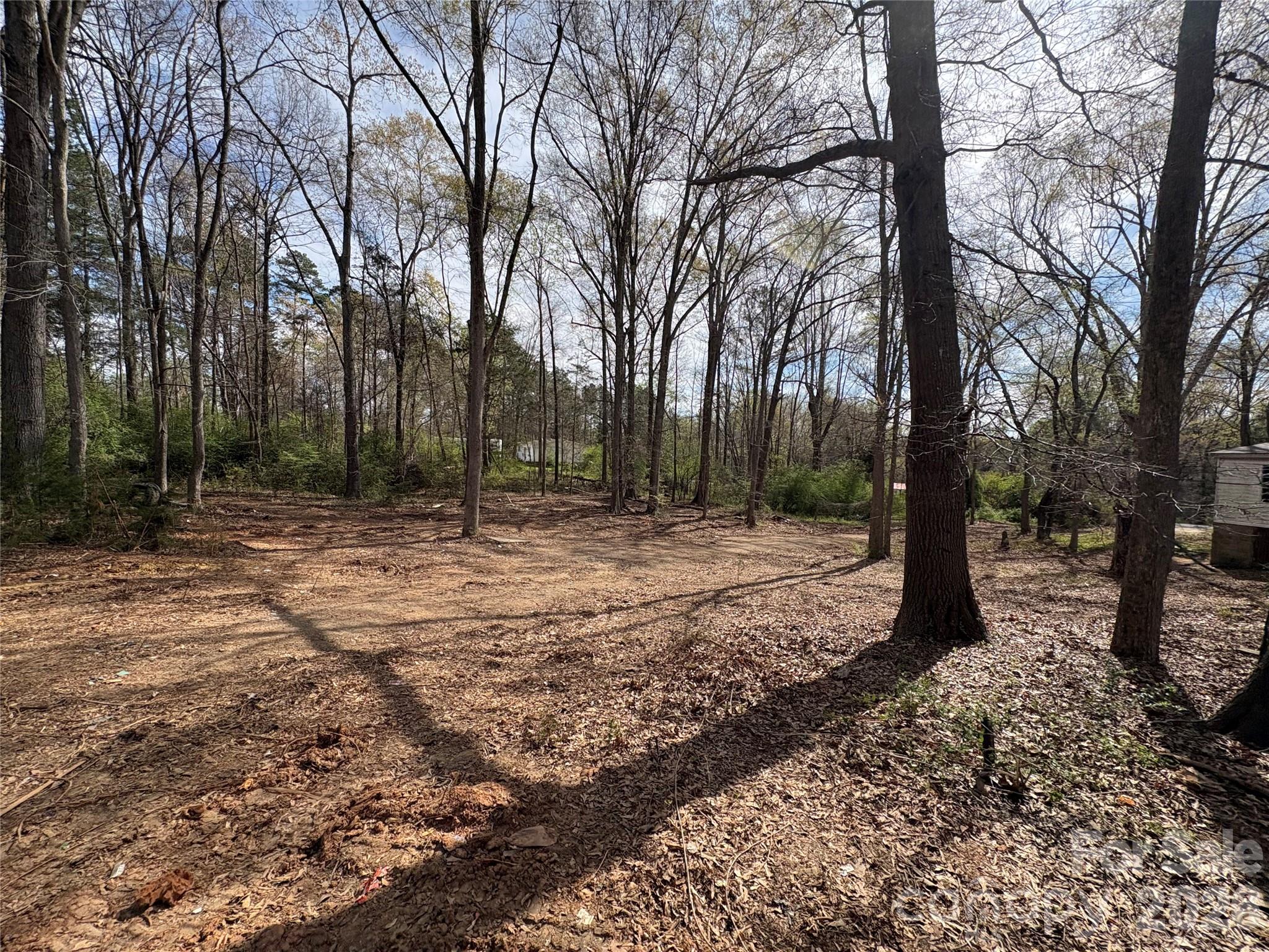 2137 Plumcrest Lane Clover, SC 29710 - Photo 19 of 23 a backyard of a house with lots of green space