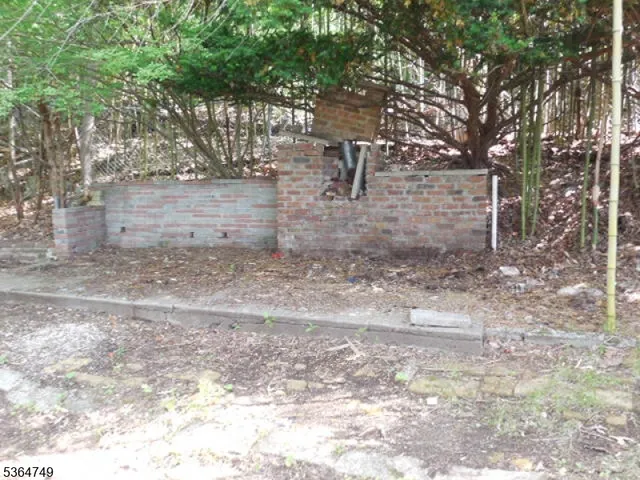 a view of a yard with plants and trees