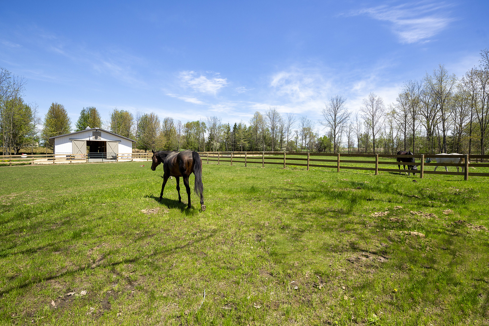 10309 Lawrence Road Harvard, IL 60033 - Photo 50 of 56 a view of a big yard