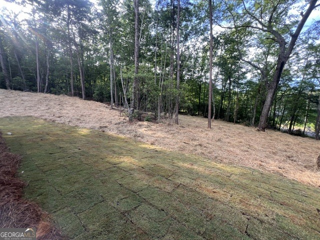 253 Fox Valley Road Clarkesville, GA 30523 - Photo 40 of 42