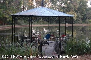 2500 Robbie Lee Road Nesbit, MS 38651 - Photo 2 of 67 DSC_0605 (1)