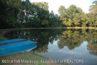 2500 Robbie Lee Road Nesbit, MS 38651 - Photo 61 of 67 DSC_0607