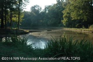 2500 Robbie Lee Road Nesbit, MS 38651 - Photo 62 of 67 DSC_0615