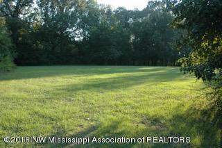 2500 Robbie Lee Road Nesbit, MS 38651 - Photo 64 of 67 DSC_0618