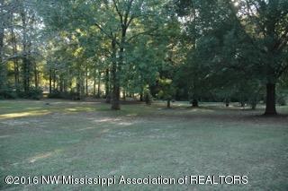 2500 Robbie Lee Road Nesbit, MS 38651 - Photo 65 of 67 robbieleeSun