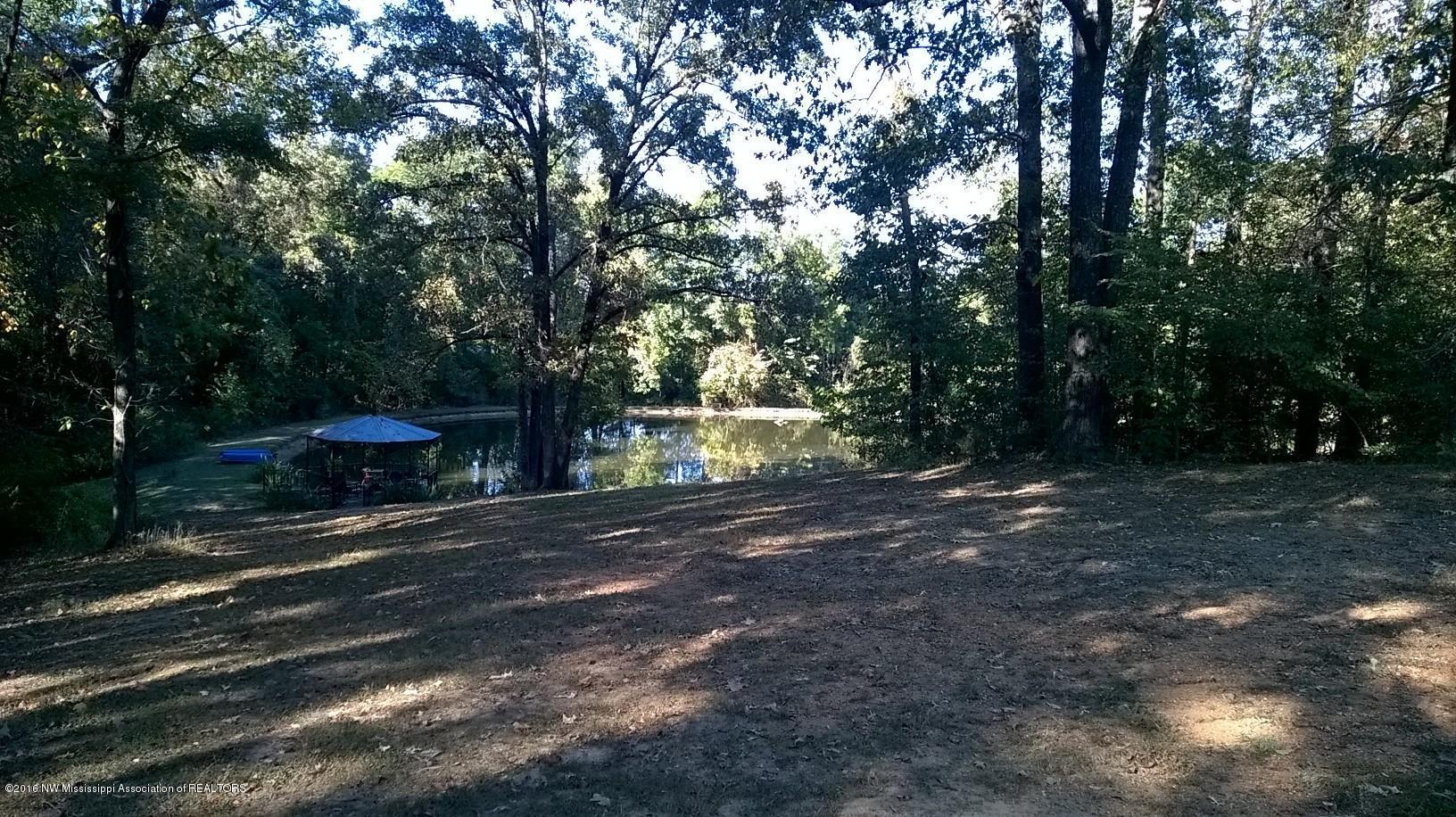 2500 Robbie Lee Road Nesbit, MS 38651 - Photo 67 of 67 WP_20161006_002