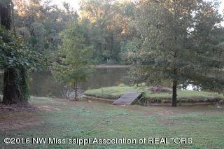 2500 Robbie Lee Road Nesbit, MS 38651 - Photo 7 of 67 DSC_0625
