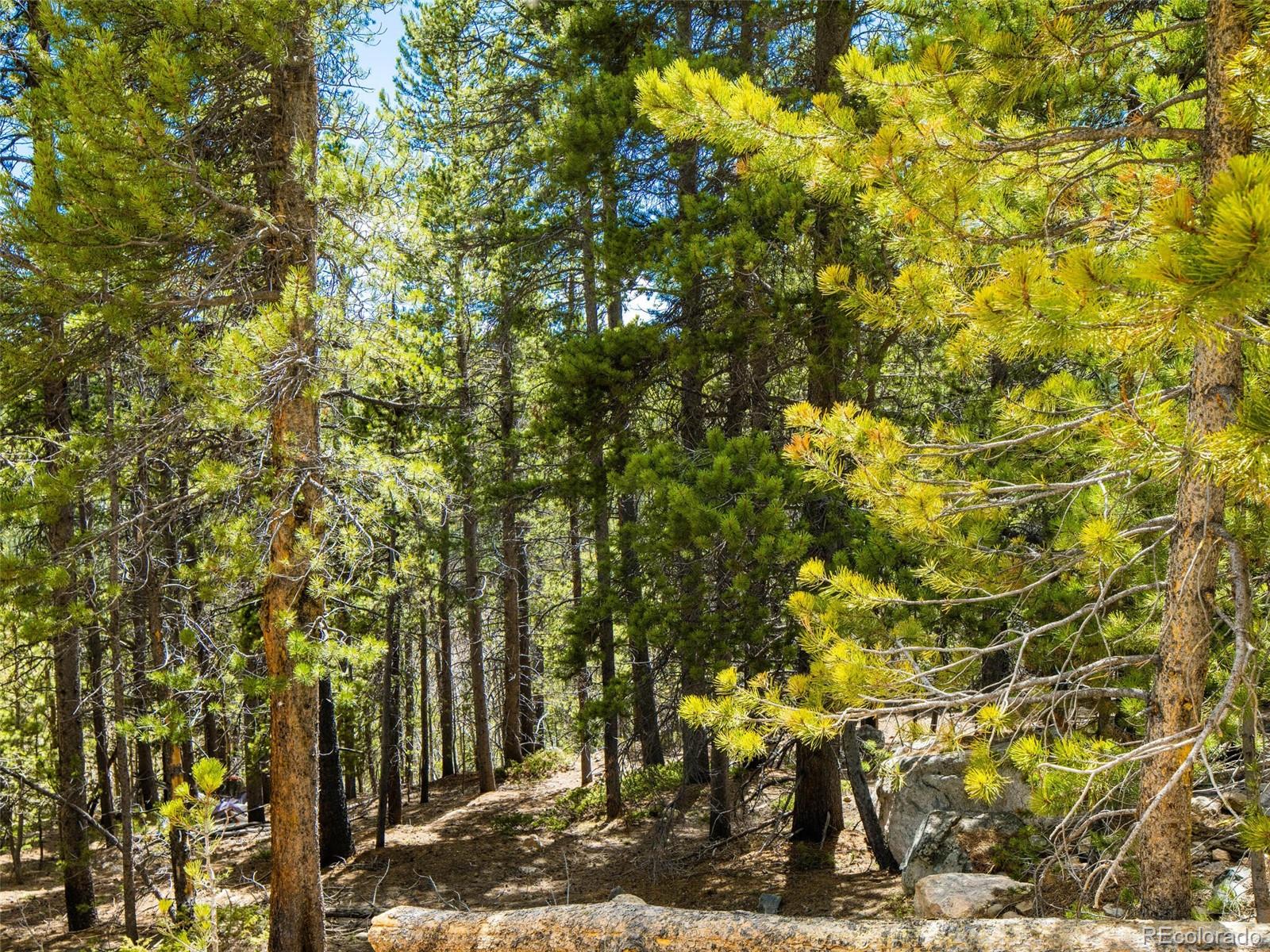 9 Rainbow Road Idaho Springs, CO 80452 - Photo 3 of 17