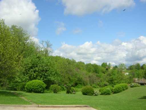Yard/Garden. 