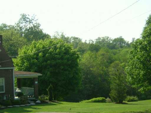 1334 Fells Church Road Belle Vernon, PA 15012 - Photo 8 of 8 Yard/Garden.