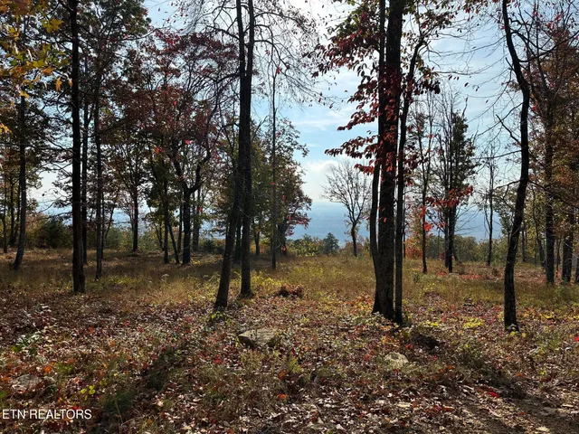 $104,800 | 288 DuckWood Lane, Evensville, TN 37332