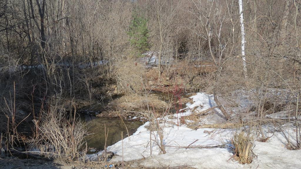 0 Hallock Hill Road Keeseville, NY 12944 - Photo 1 of 4 Gallery Image 1
