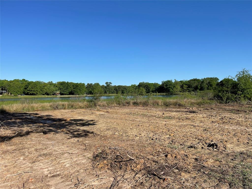 3345 Rains County Road 3345 Emory, TX 75440 - Photo 8 of 18