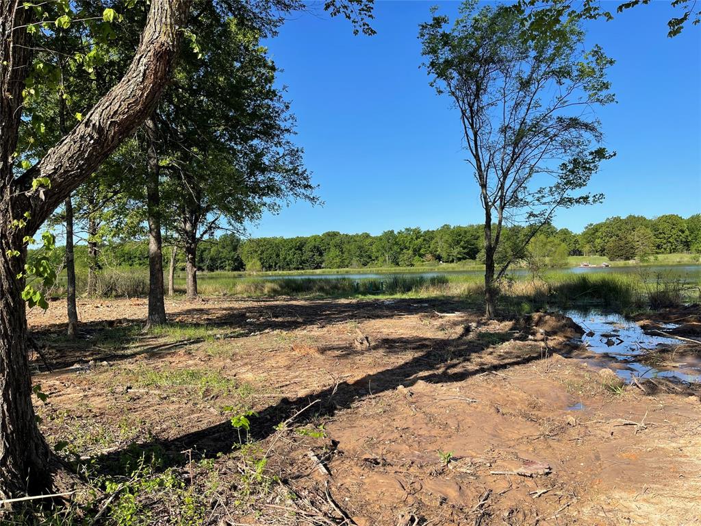 3345 Rains County Road 3345 Emory, TX 75440 - Photo 9 of 18