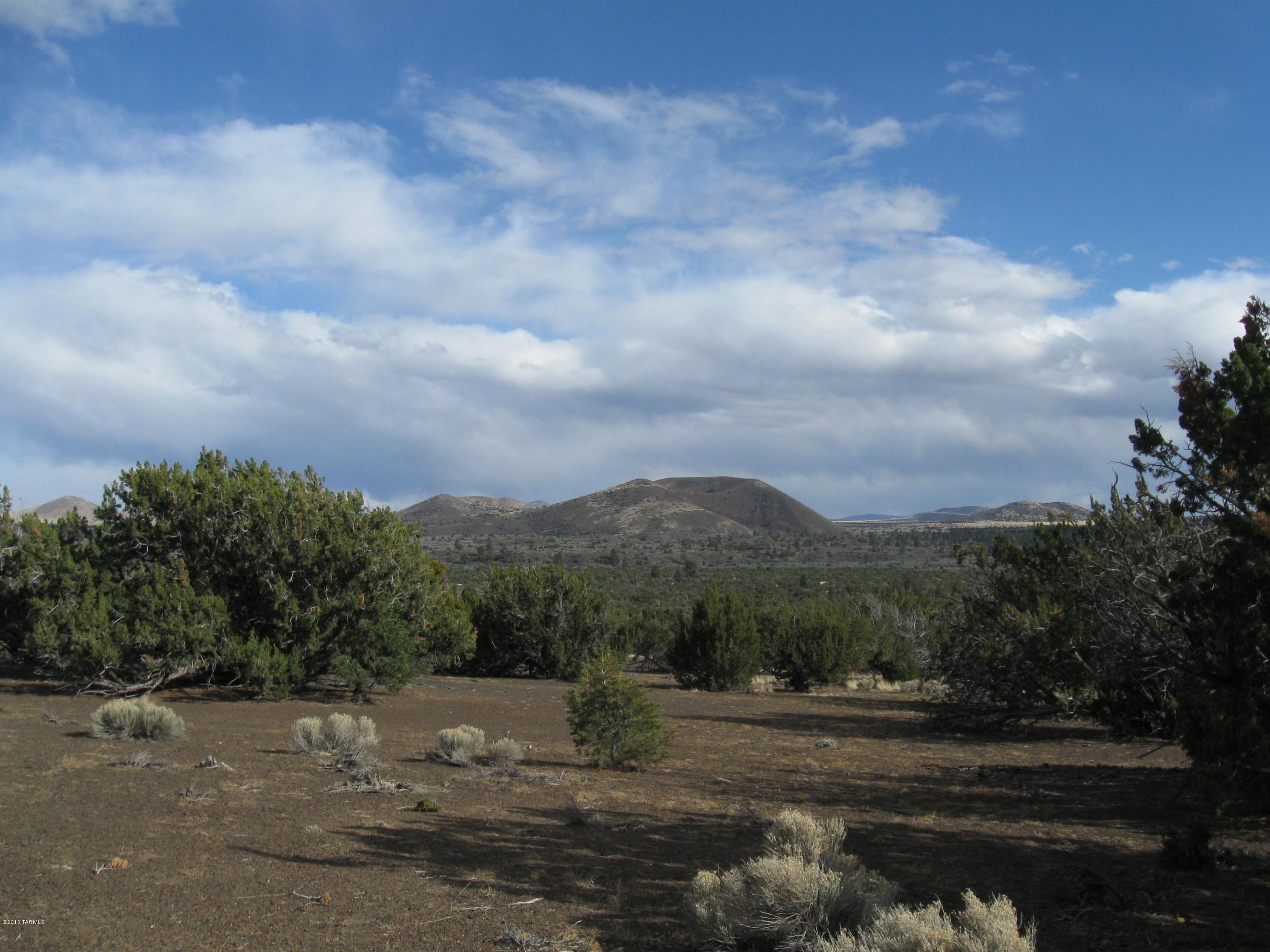 43007 A Alpine Ranch Flagstaff, AZ 86004 - Photo 9 of 12