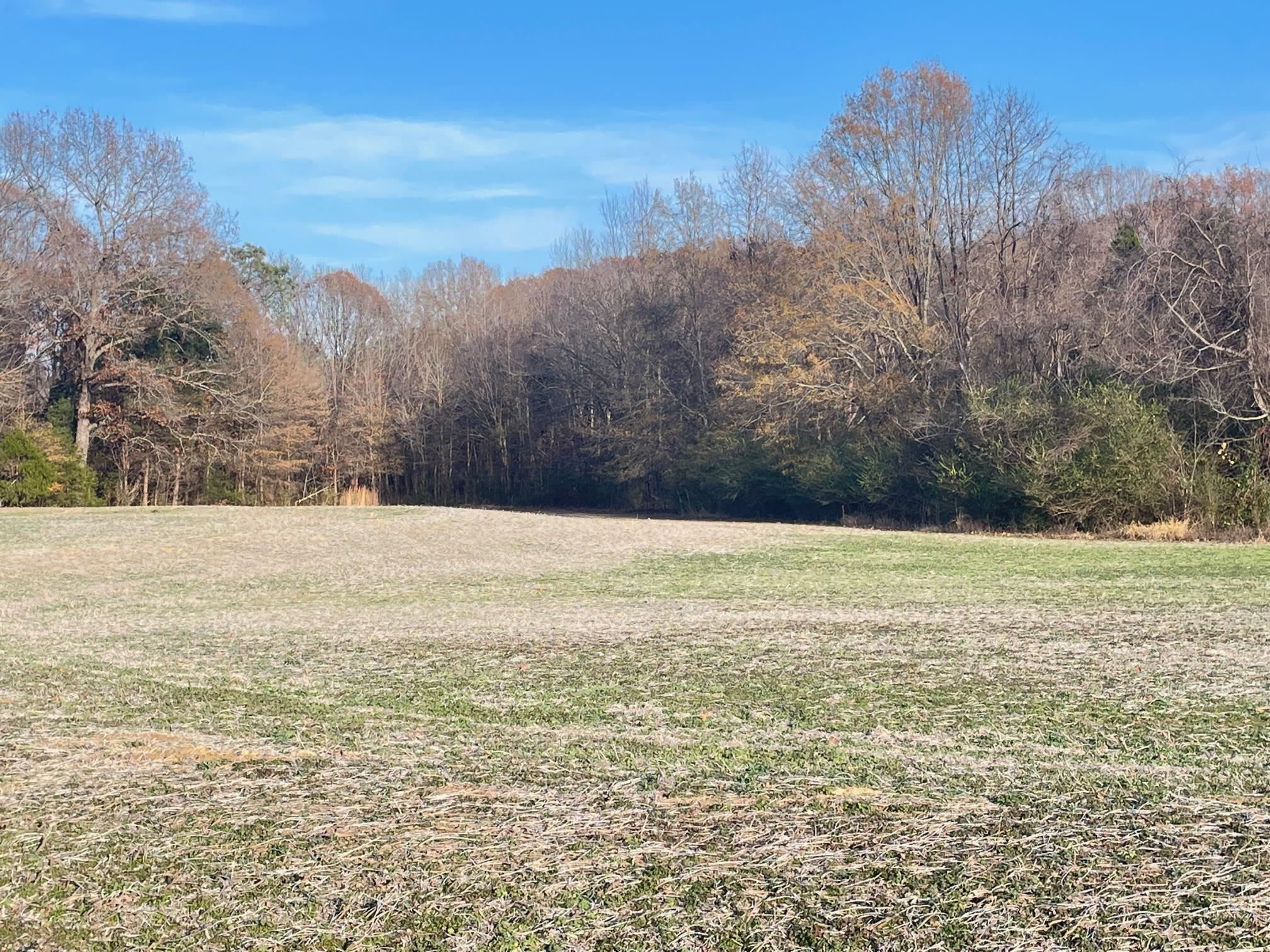 10.86-ac Boone Road Medina, TN 38355 - Photo 14 of 28 Photo 14