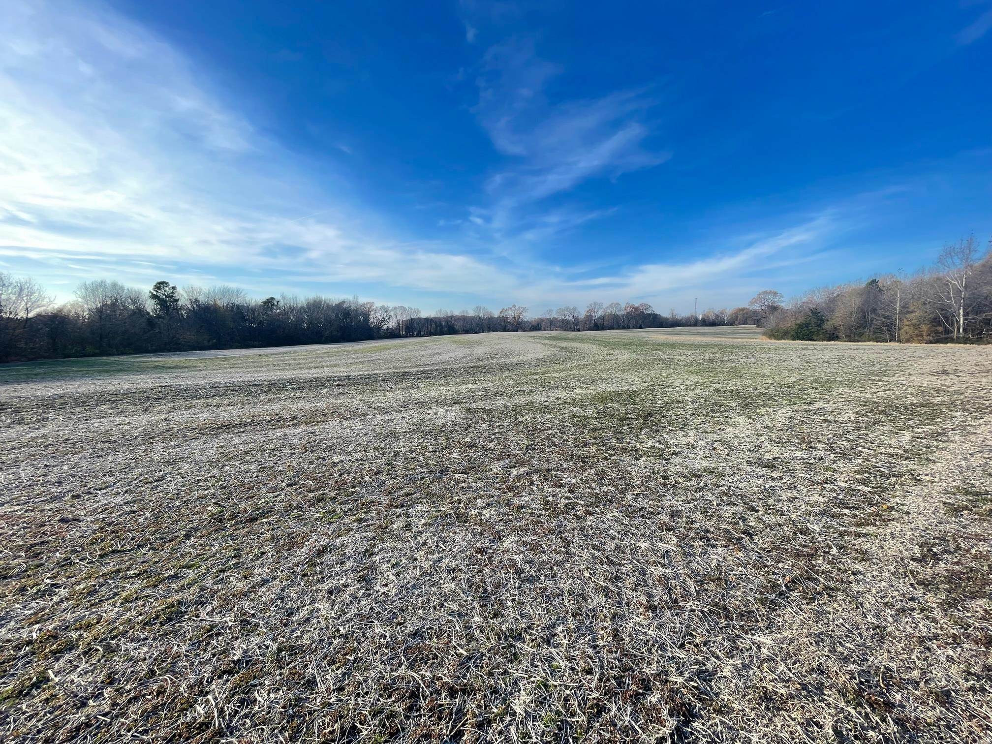 10.86-ac Boone Road Medina, TN 38355 - Photo 18 of 28 Photo 19
