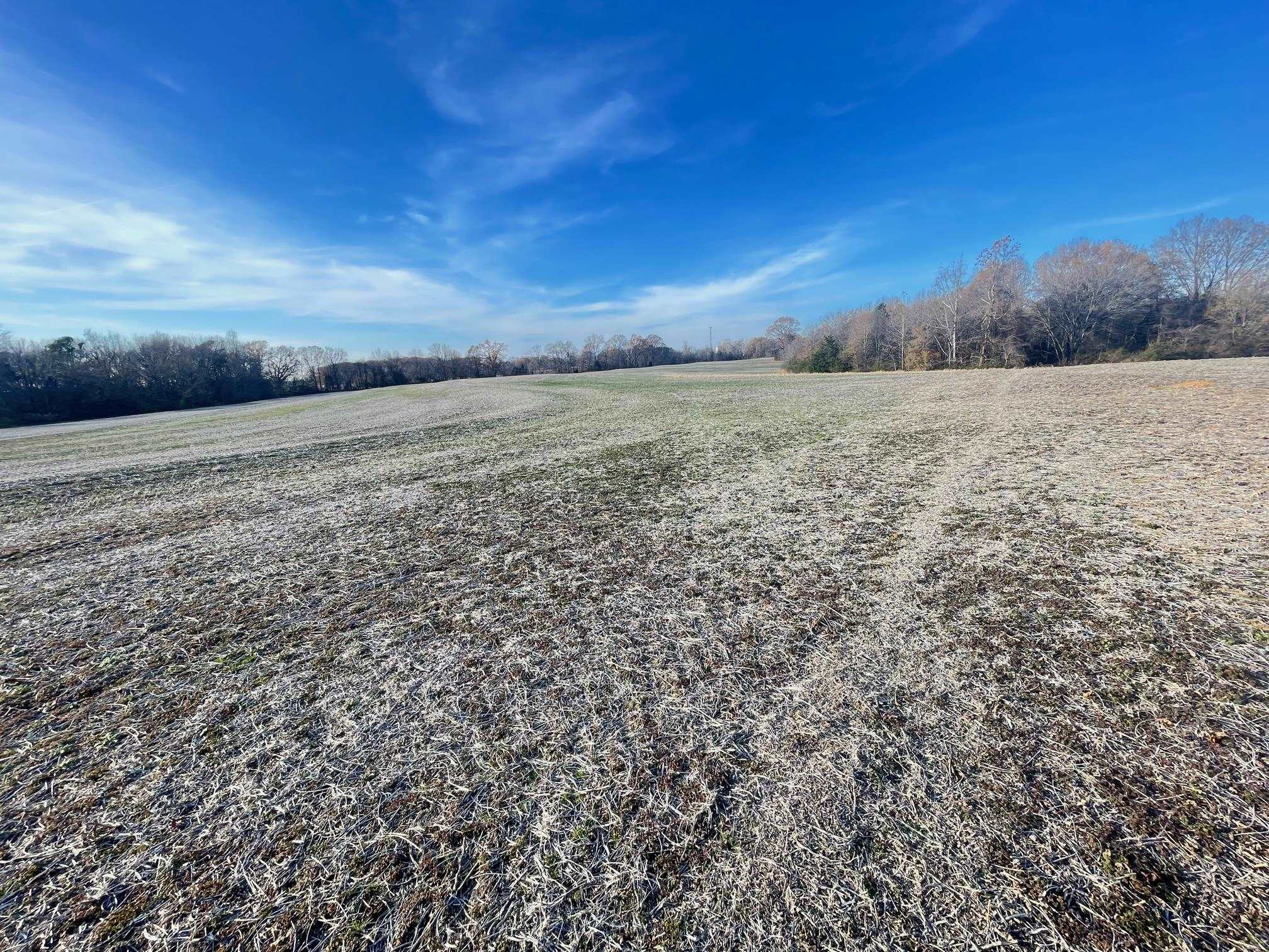 10.86-ac Boone Road Medina, TN 38355 - Photo 20 of 28 Photo 21