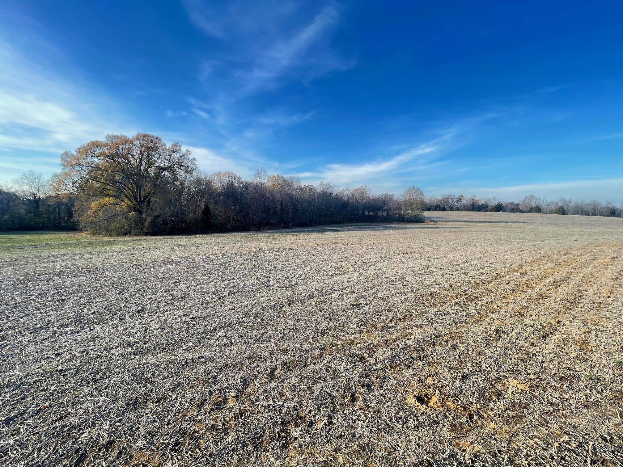 10.86-ac Boone Road Medina, TN 38355 - Photo 5 of 28 Photo 5