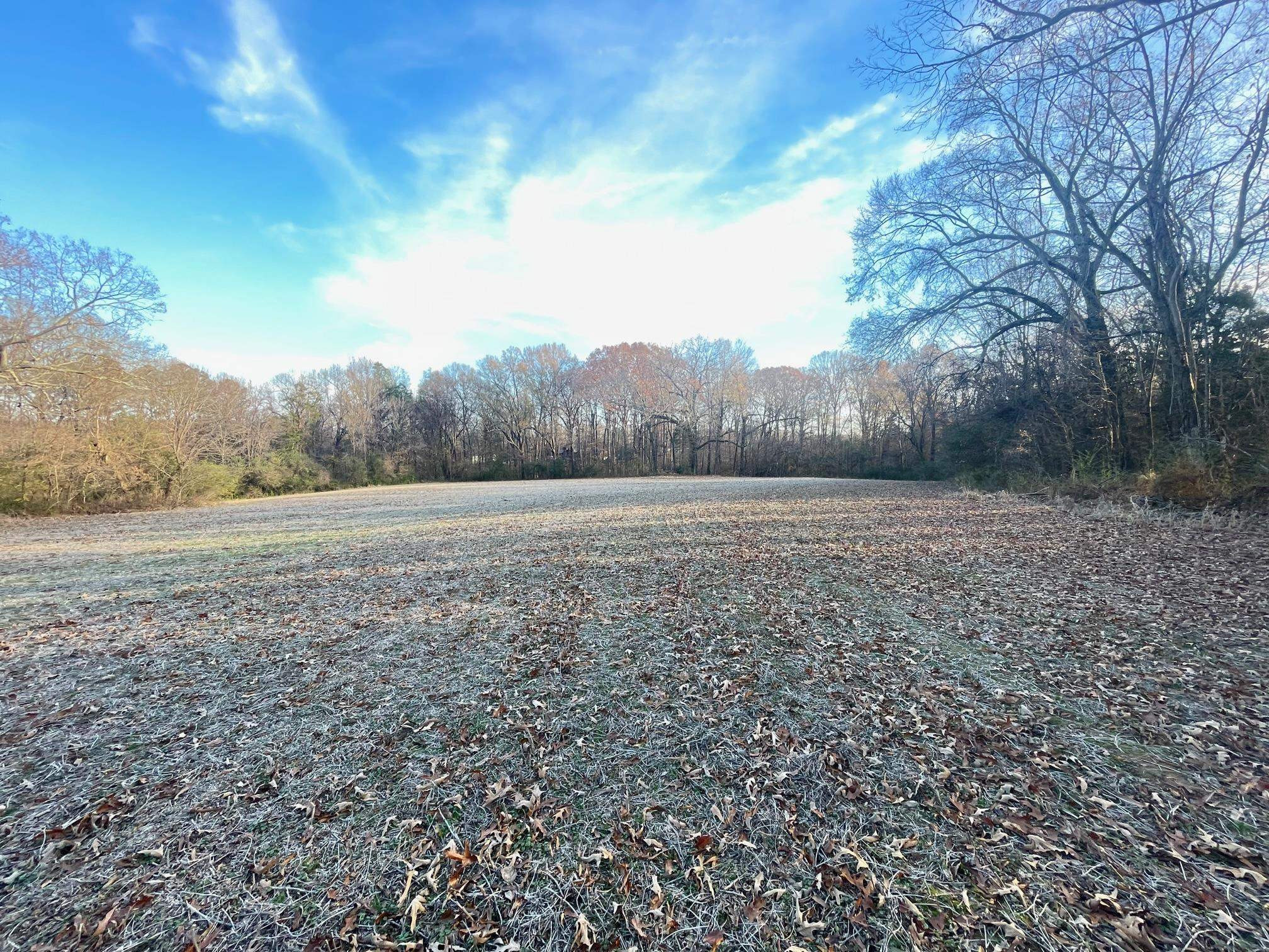 10.86-ac Boone Road Medina, TN 38355 - Photo 8 of 28 Photo 8
