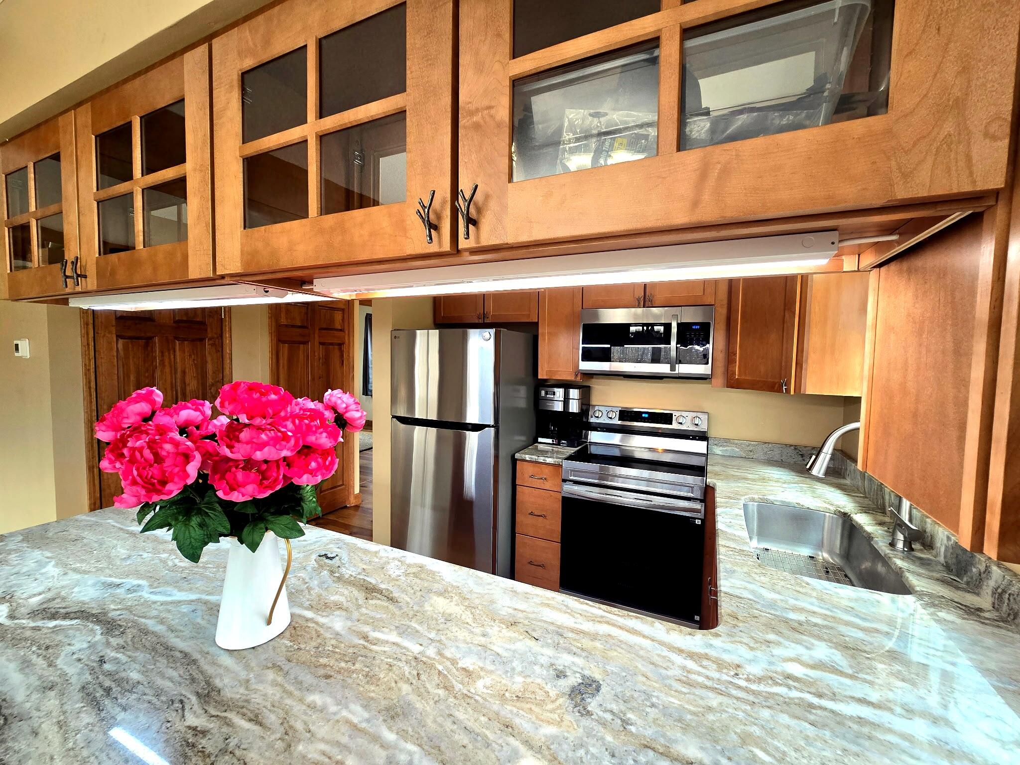 814 Timber Valley Road Gaylord, MI 49735 - Photo 12 of 60 Beautiful Granite Countertops
