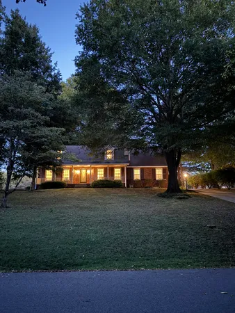 a view of back yard