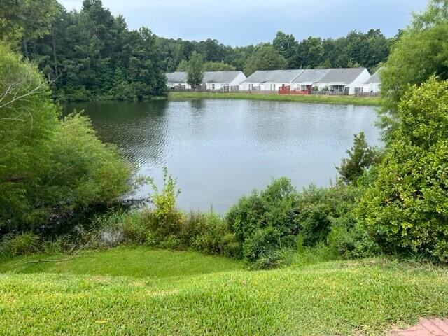 5005 Wheeler Lake Road Augusta, GA 30909 - Photo 17 of 20 4