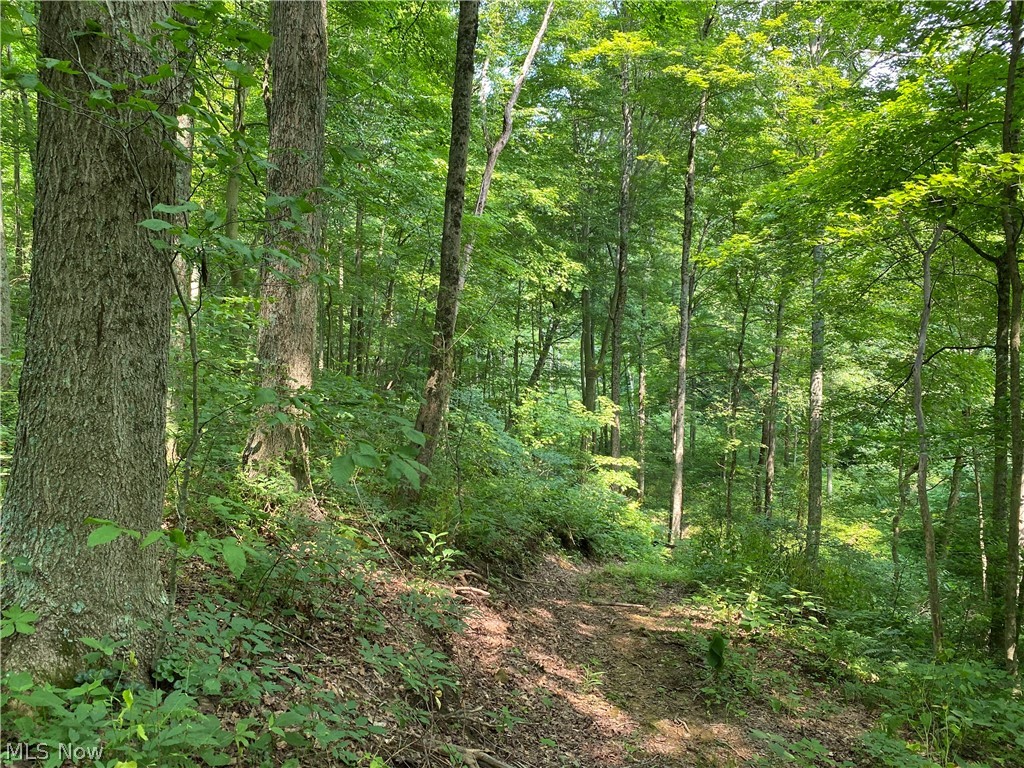 9401 Bell Run Road Adamsville, OH 43802 - Photo 12 of 27 Gallery Image 12