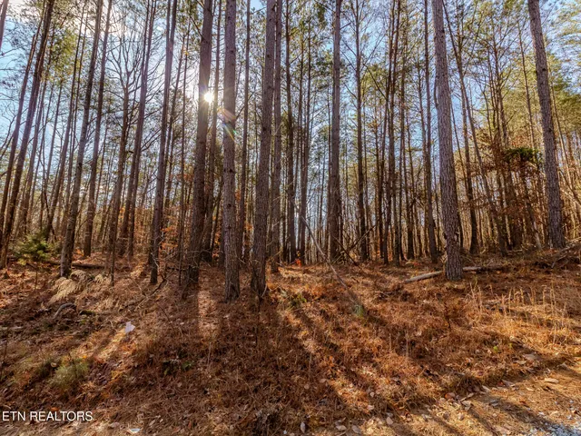 $40,000 | Lot 5 Parksville Road, Benton, TN 37307
