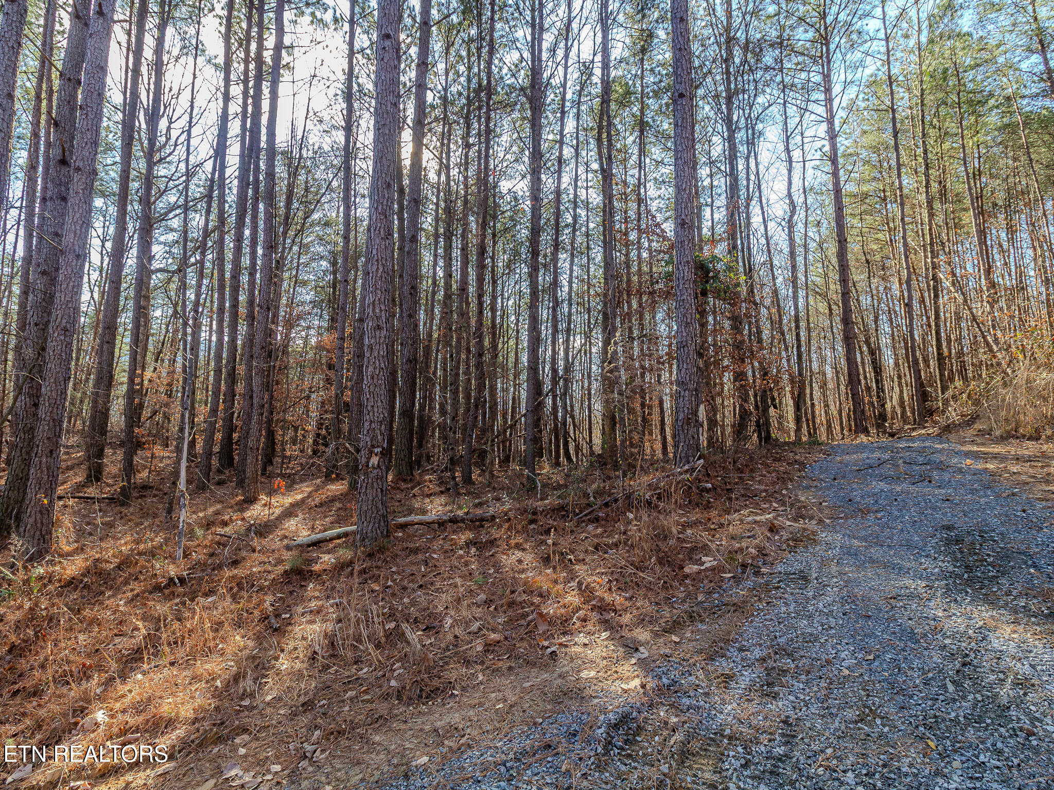 Lot 5 Parksville Road Benton, TN 37307 - Photo 4 of 6 IMG_4726