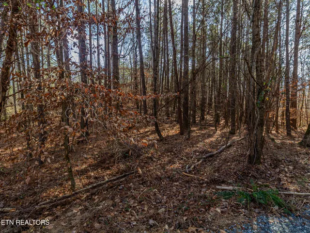 $40,000 | Lot 5 Parksville Road, Benton, TN 37307