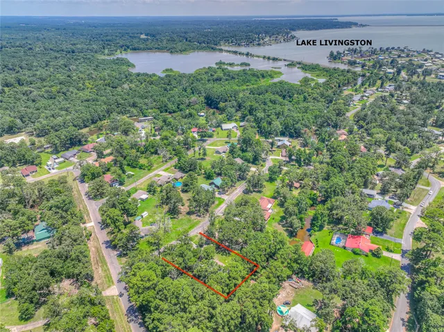 a view of a bunch of flowers