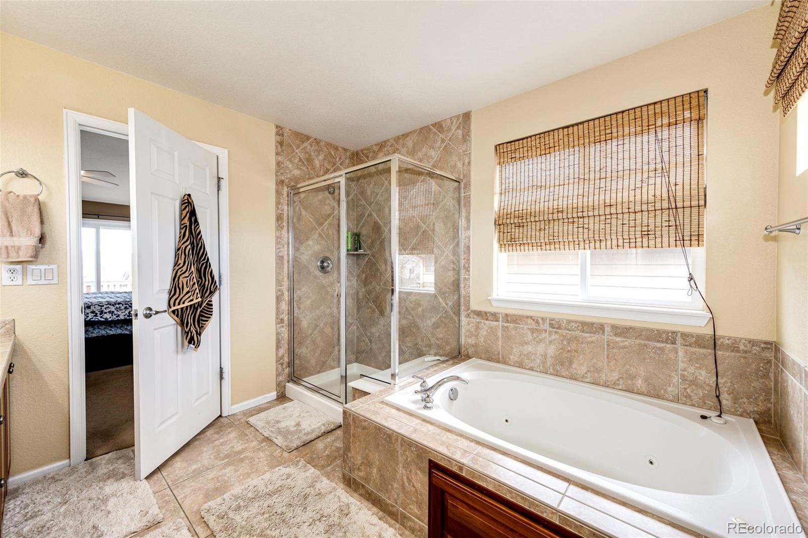 10815 Hickory Ridge Lane Highlands Ranch, CO 80126 - Photo 29 of 50 Gallery Image 29