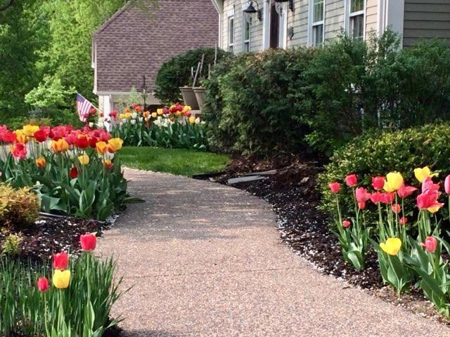 5670 Old Market Road Shorewood, MN 55331 - Photo 4 of 52