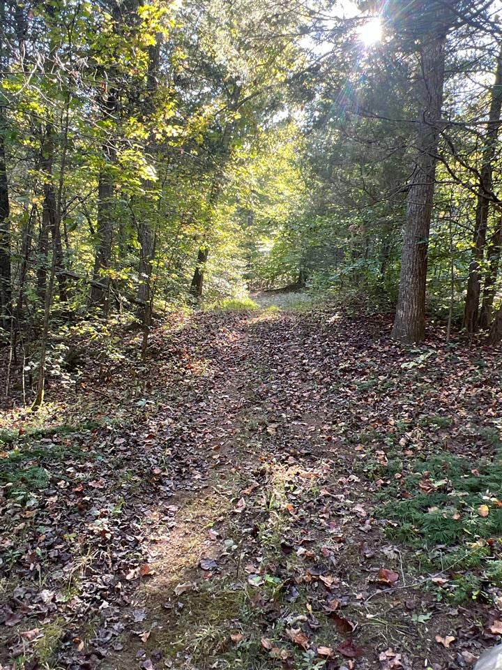 1411 Flint Springs Road Cromwell, KY 42333 - Photo 25 of 36 Gallery Image 25