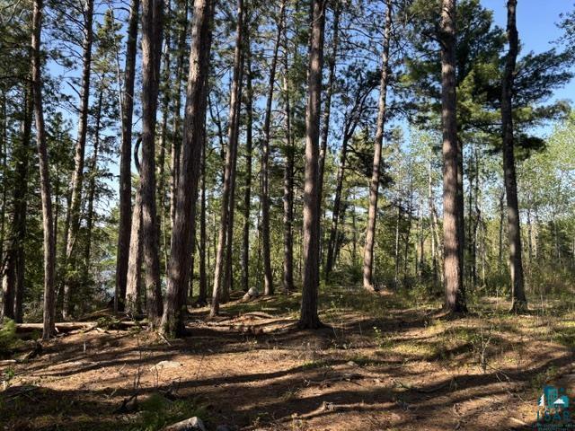 3506 Hanson Lk Road Ely, MN 55731 - Photo 19 of 26