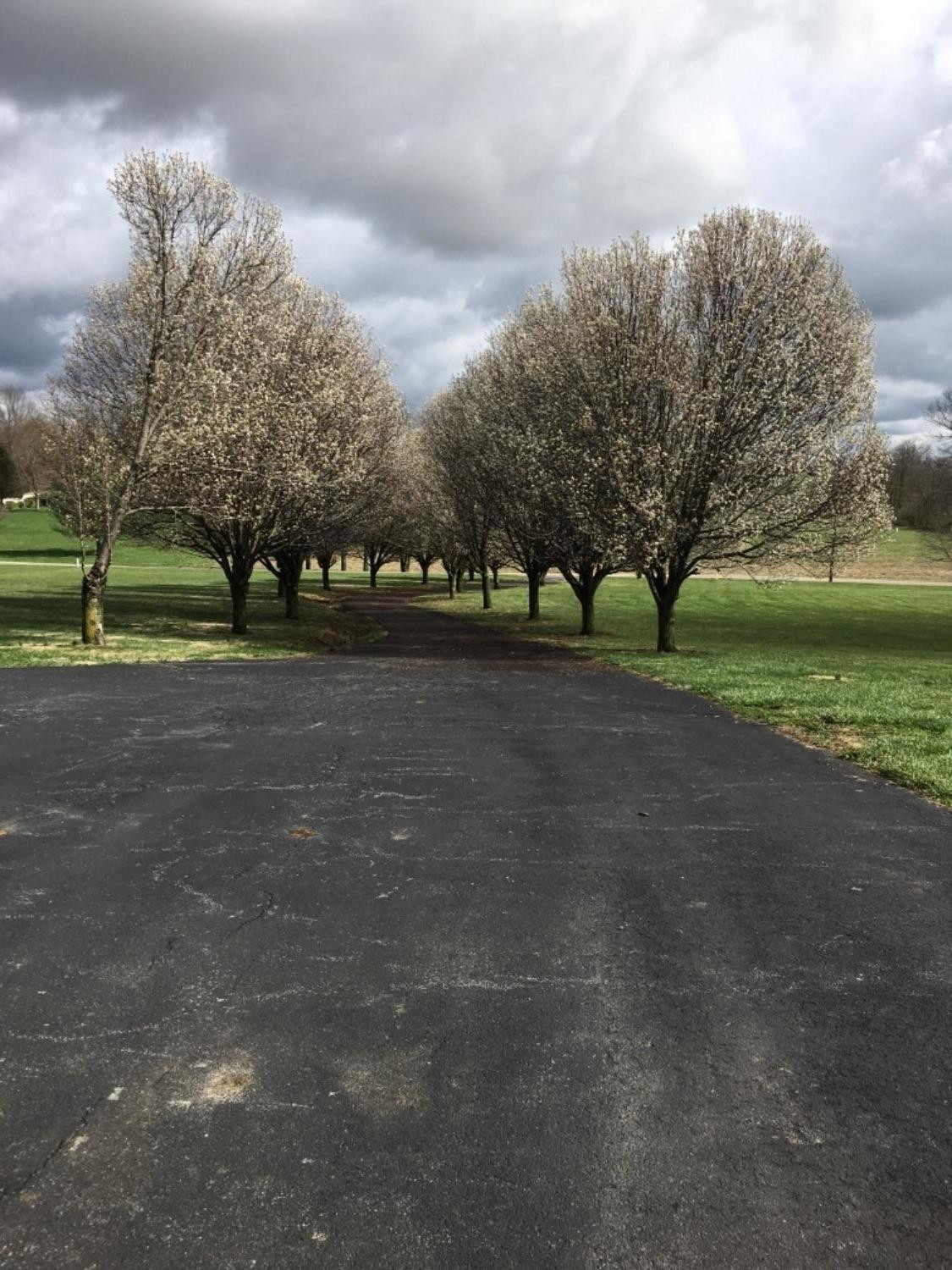 681 Waits Road Cynthiana, KY 41031 - Photo 4 of 25 Photo 4