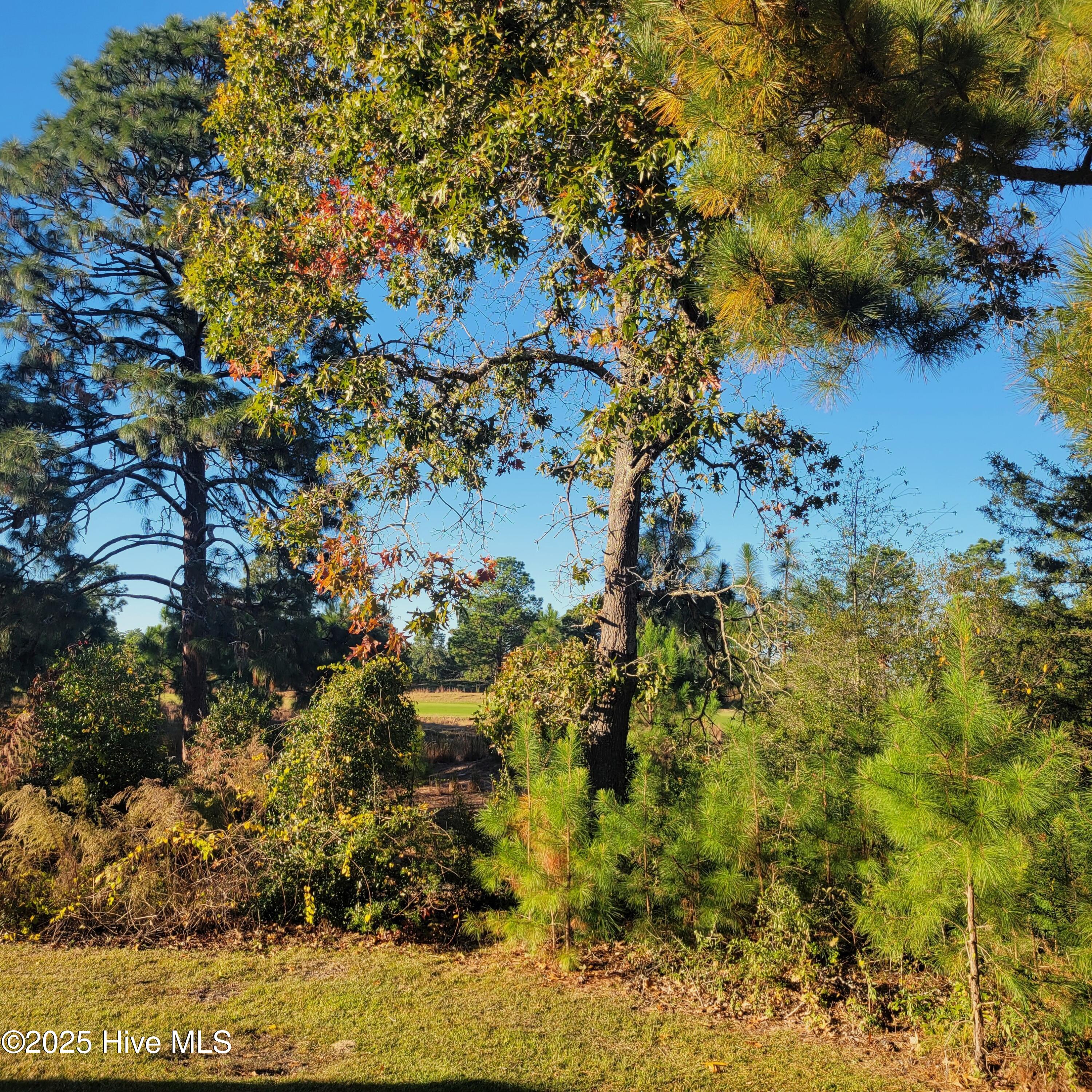 925 Morganton Road, Unit 7C Pinehurst, NC 28374 - Photo 47 of 49 20251031_164646