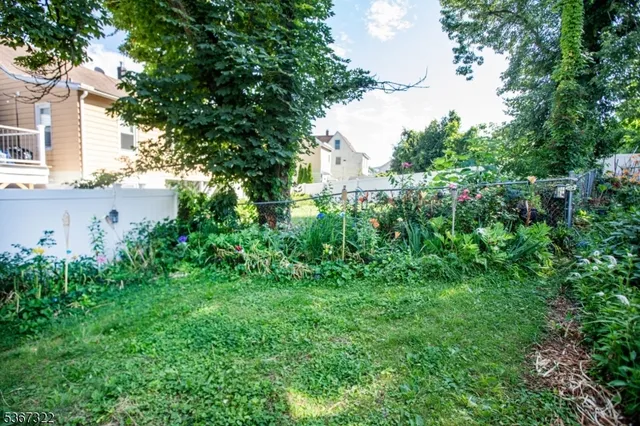 a view of a yard with plants and large trees