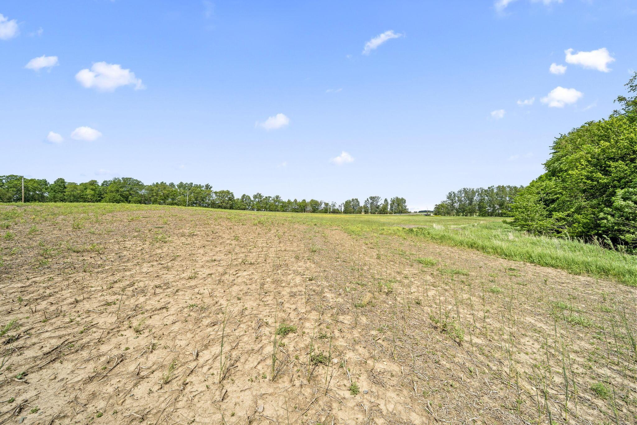 4 Ford-Reed Road Richwood, OH 43344 - Photo 8 of 14 28-web-or-mls-DSC06757
