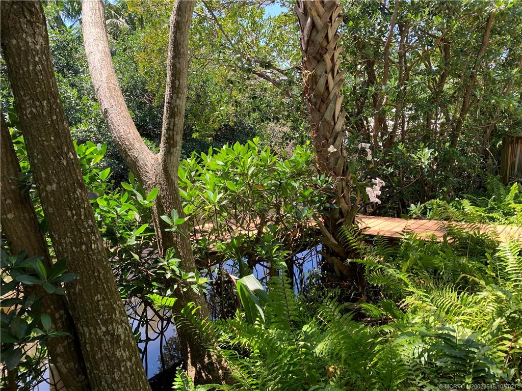 532 Southwest Akron Avenue Stuart, FL 34994 - Photo 9 of 46 Tropical oasis