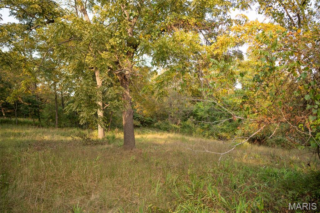 21132 Sawmill Road Versailles, MO 65084 - Photo 6 of 34