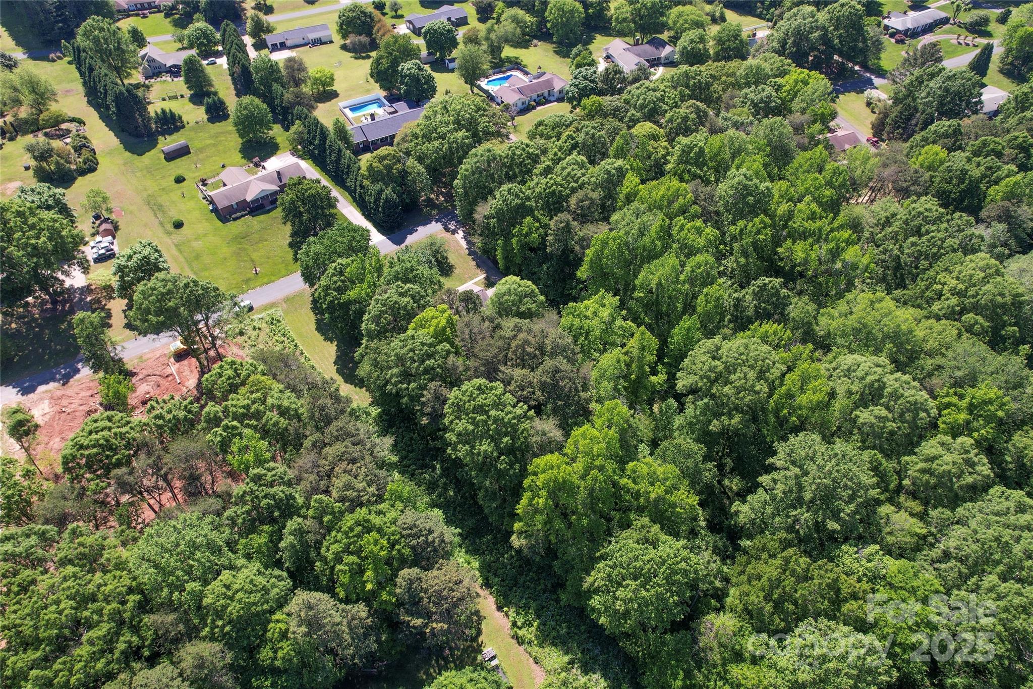 335 Bob White Run Salisbury, NC 28147 - Photo 38 of 41 a view of a bunch of flowers