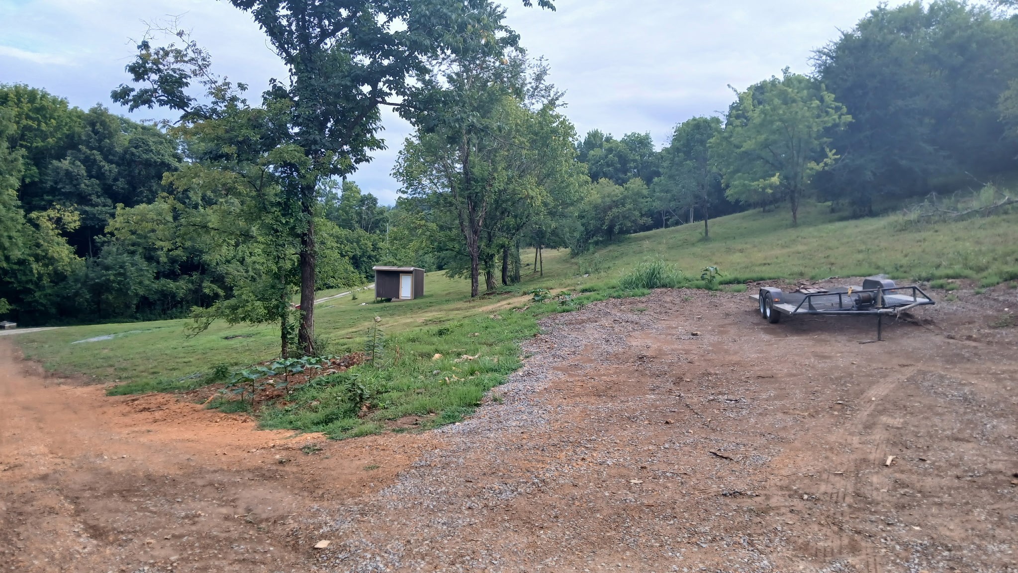 2847 Sorrells Road Petersburg, TN 37144 - Photo 12 of 28 a view of a park with large trees