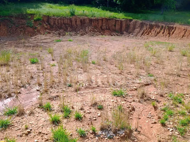 a view of a lake with a yard