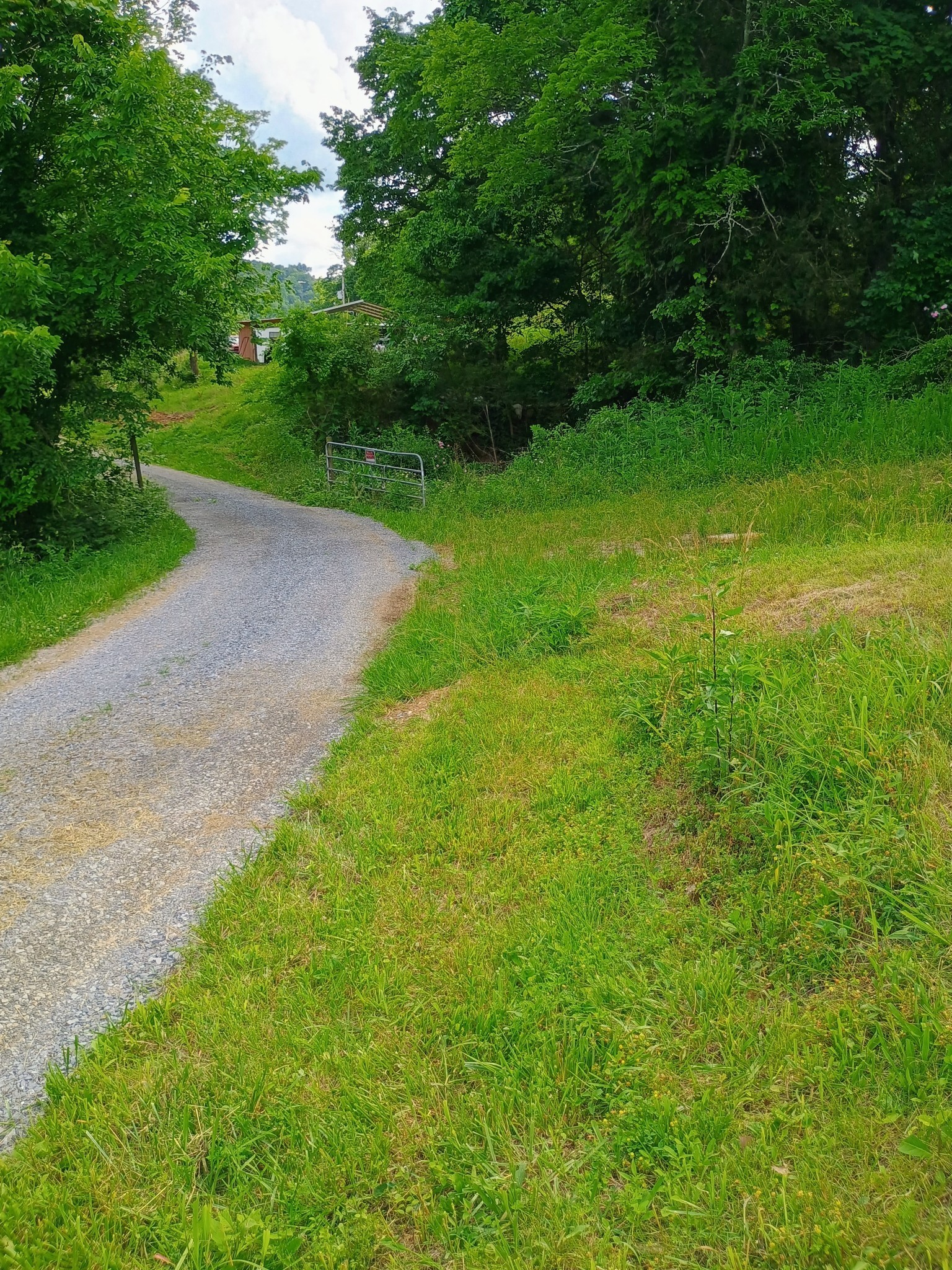 2847 Sorrells Road Petersburg, TN 37144 - Photo 21 of 28 a view of a yard with a plants and trees