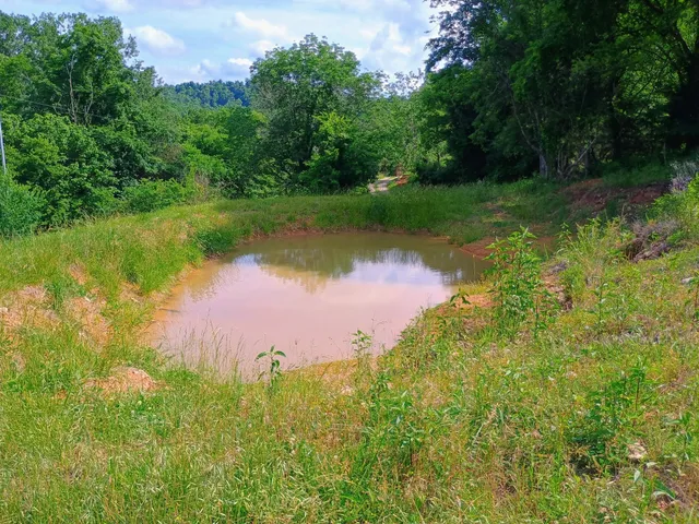 a view of backyard with green space