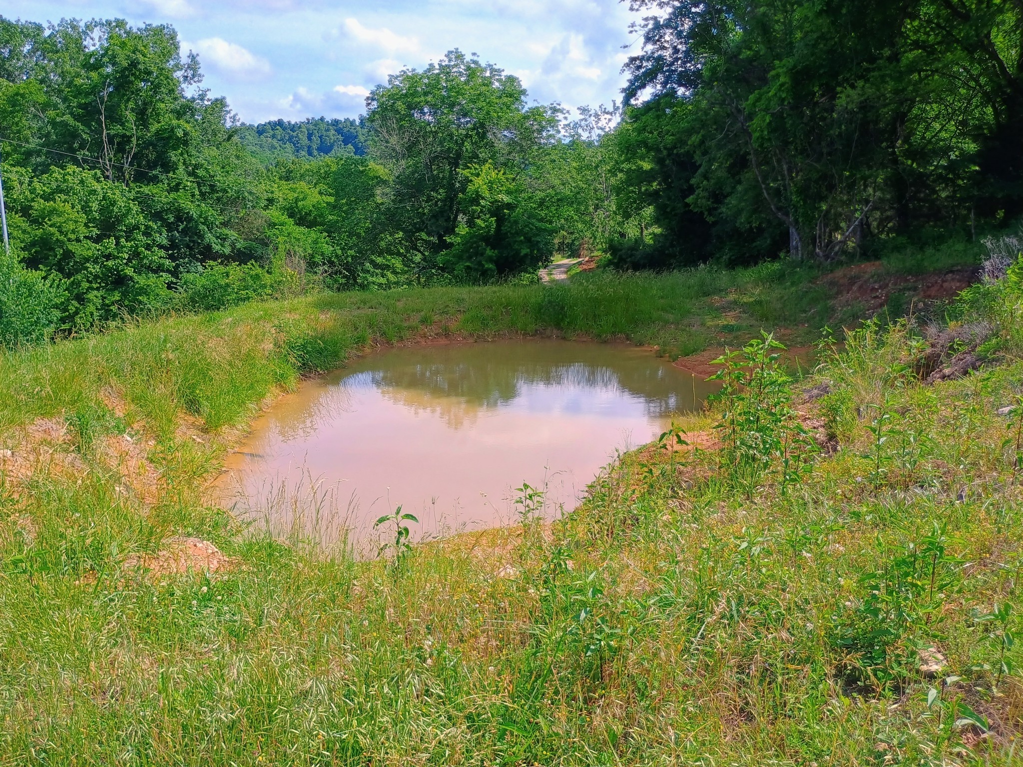 2847 Sorrells Road Petersburg, TN 37144 - Photo 23 of 28 a lake view with a garden