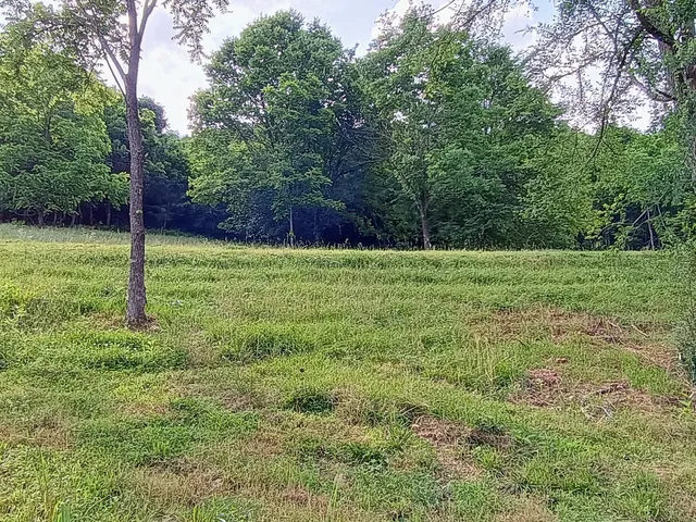 a view of a grassy field with trees in the background