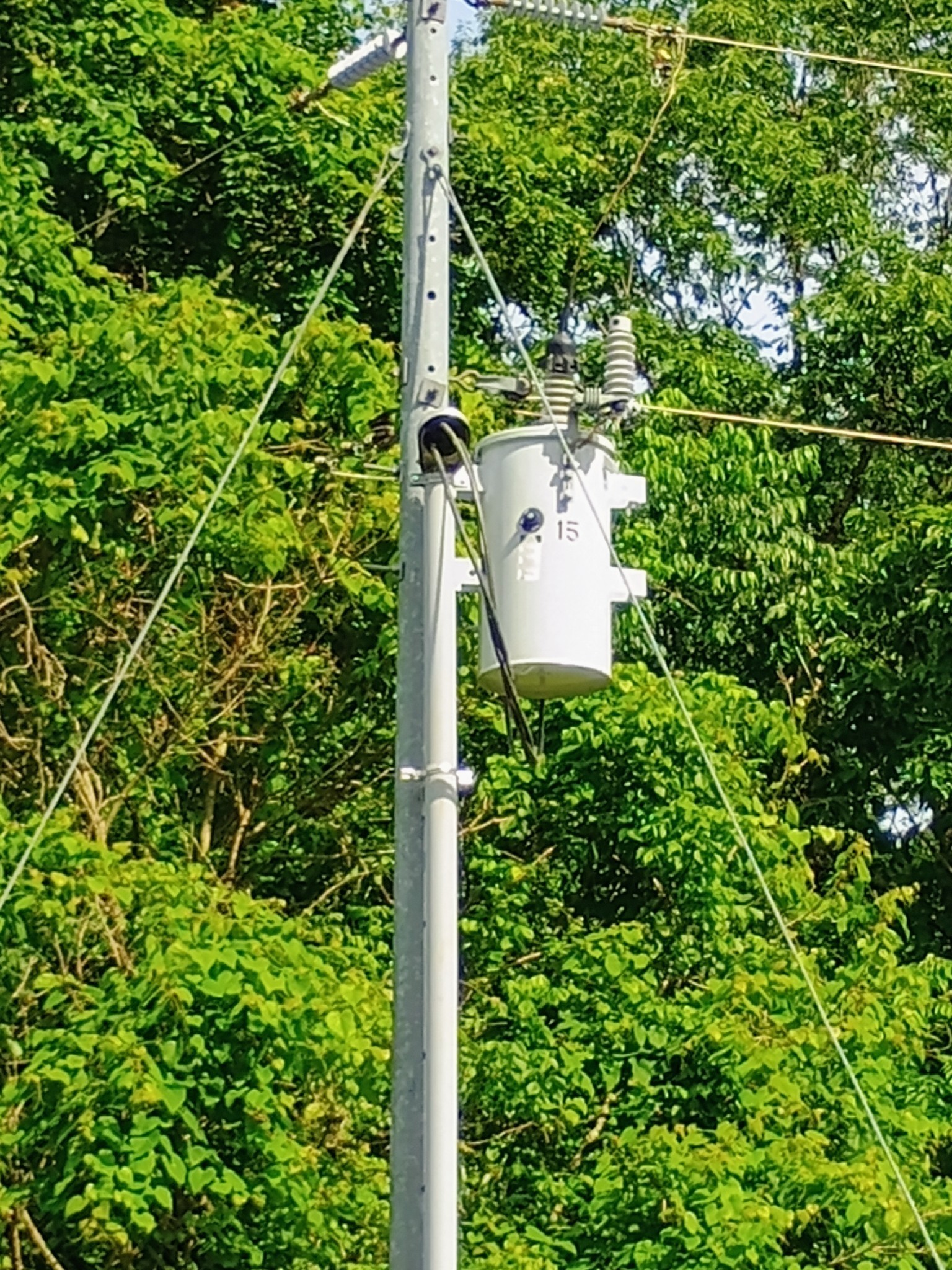 2847 Sorrells Road Petersburg, TN 37144 - Photo 7 of 28 unknown